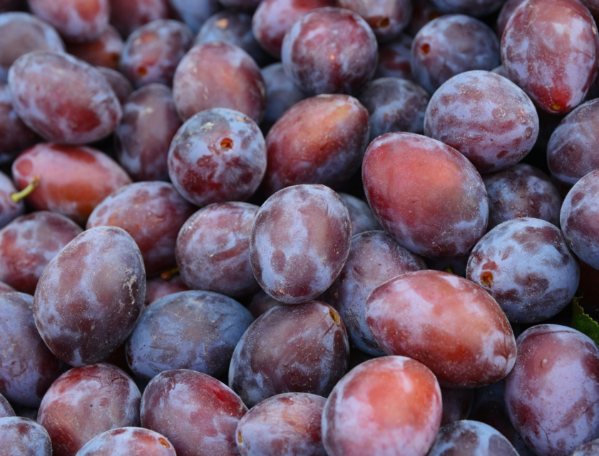 Świeże śliwki
