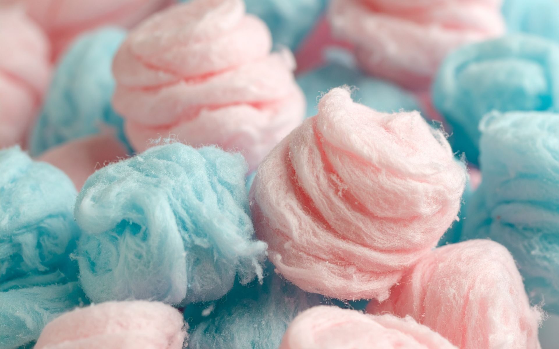 Zdjęcie wyróżniające (9)